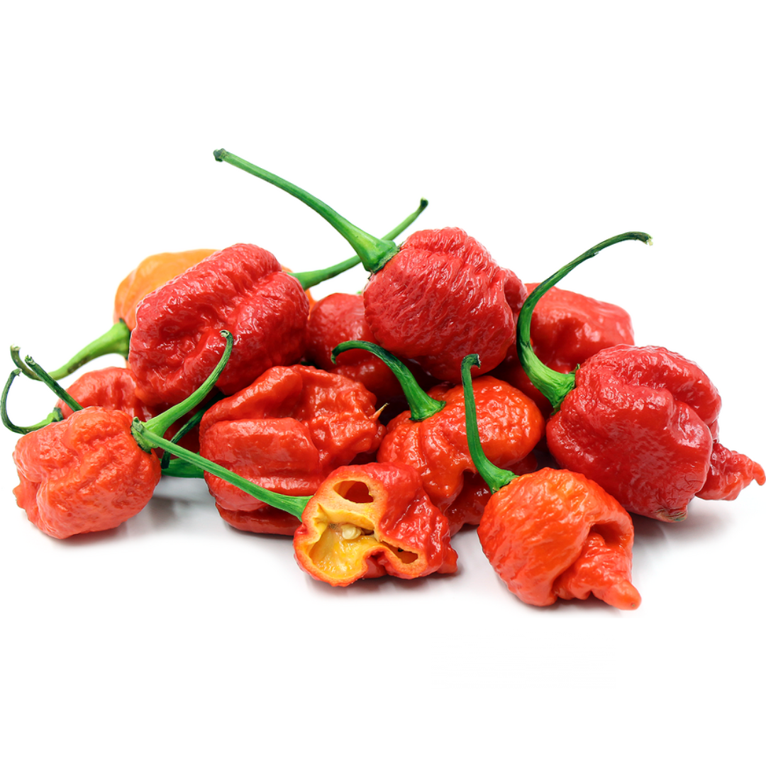 Dried Carolina Reaper (KG)