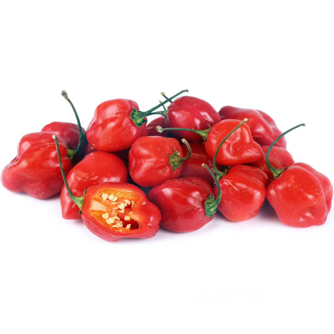 Chili Habanero Red (KG) – Bravo Fine Foods Hong Kong