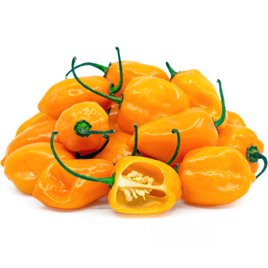 Chili Habanero Yellow (KG)