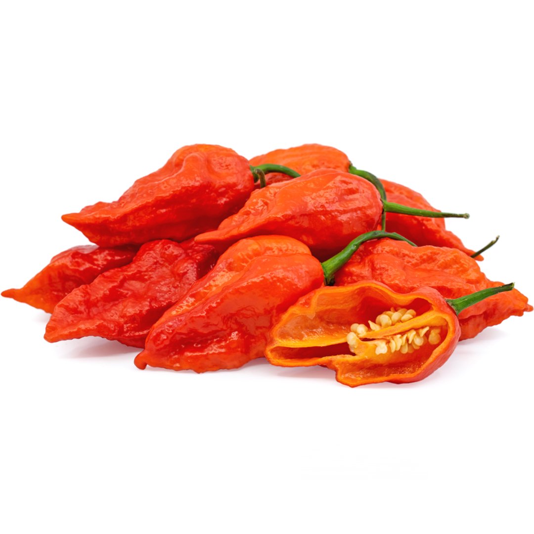 Chili Naga Red (KG)