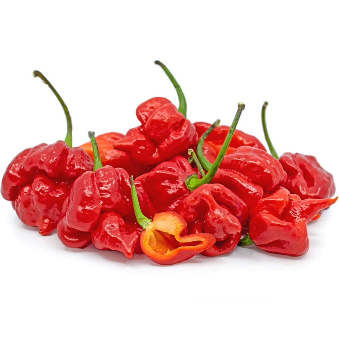 Chili Trinidad Scorpion Red (KG)