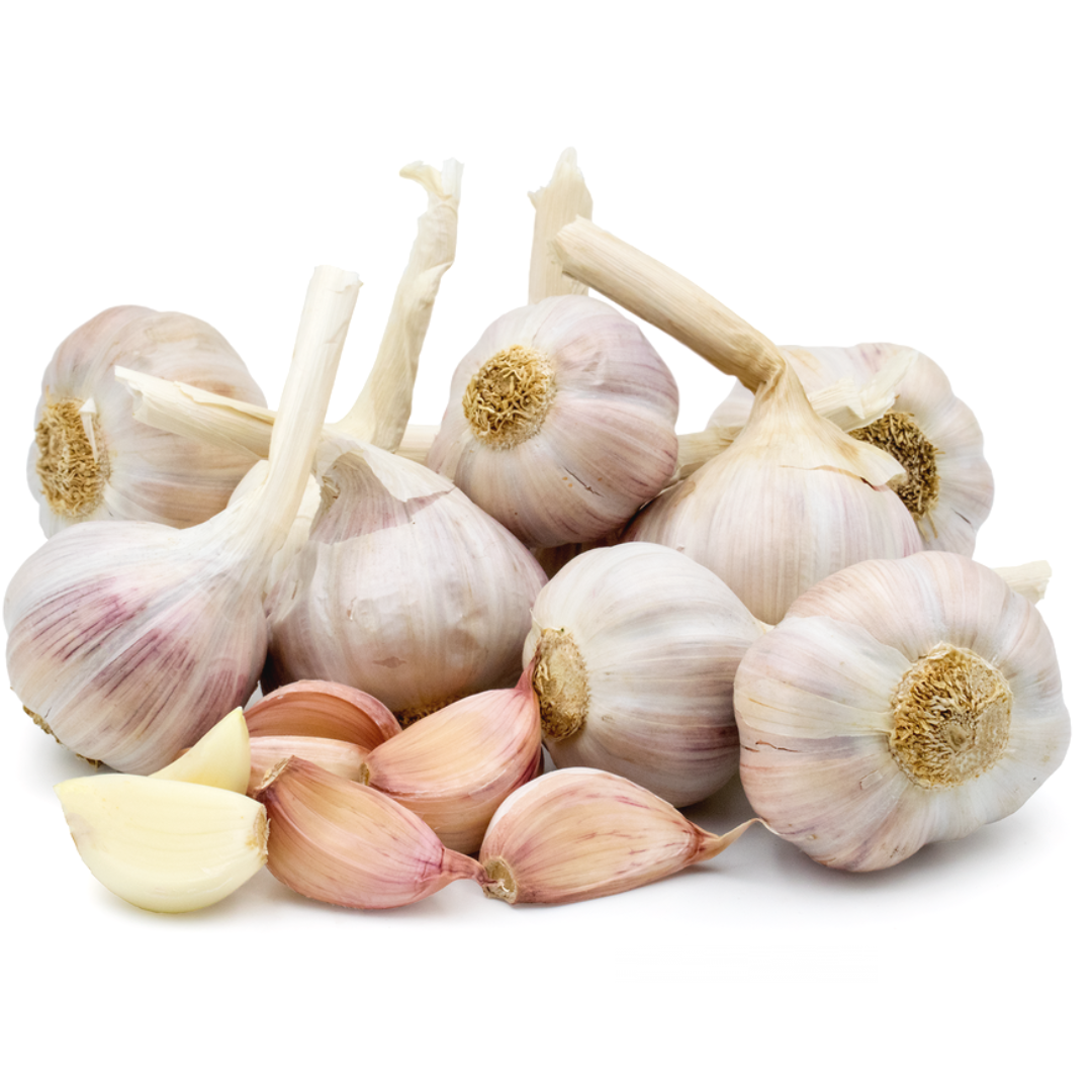 Garlic Rose (KG)