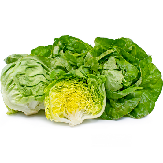 Lettuce Boston (KG)