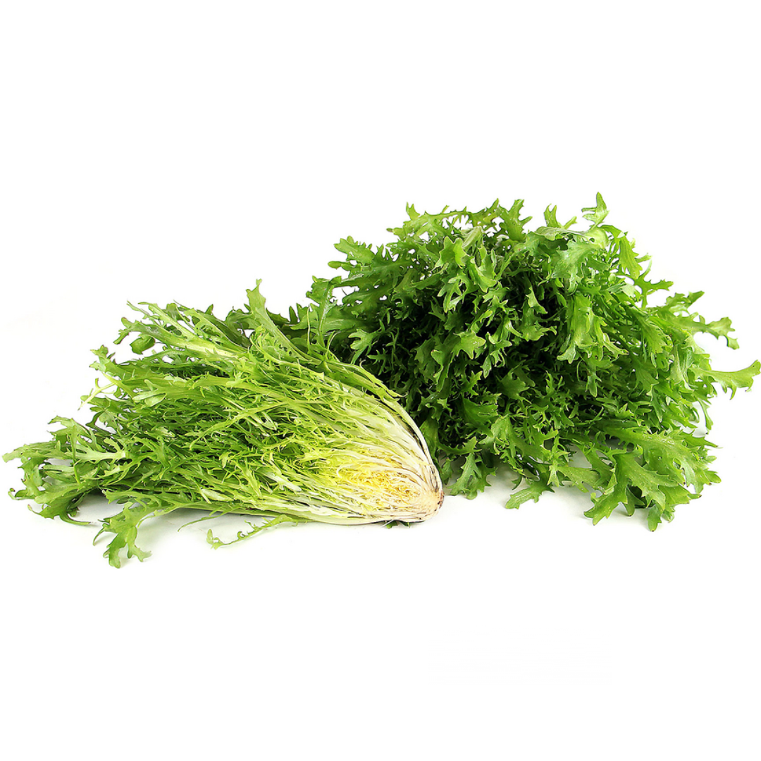 Lettuce Frisee Green (KG)