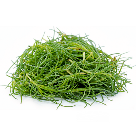 Agretti (Monk's Beard) (KG)