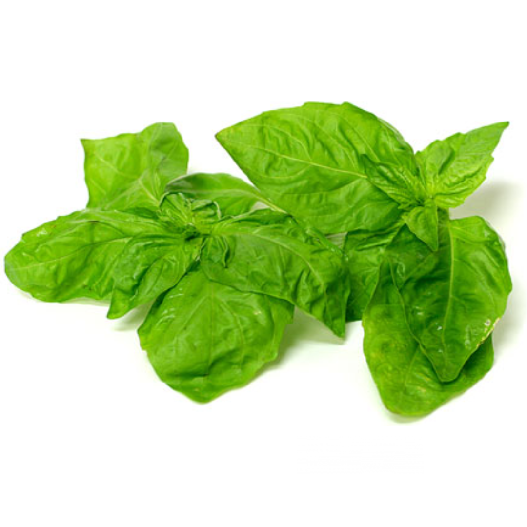 Basil (KG)