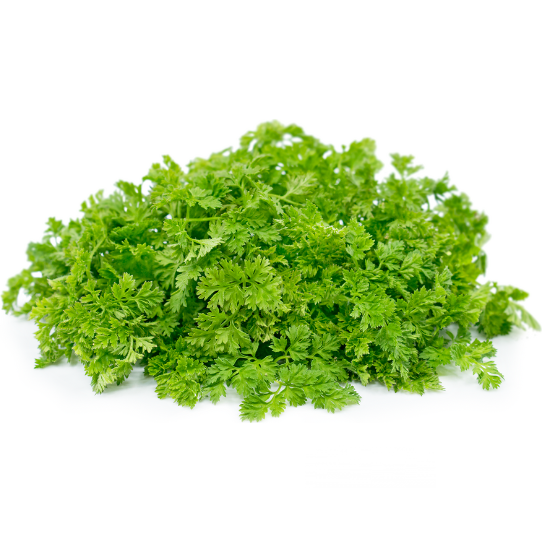 Chervil (KG)