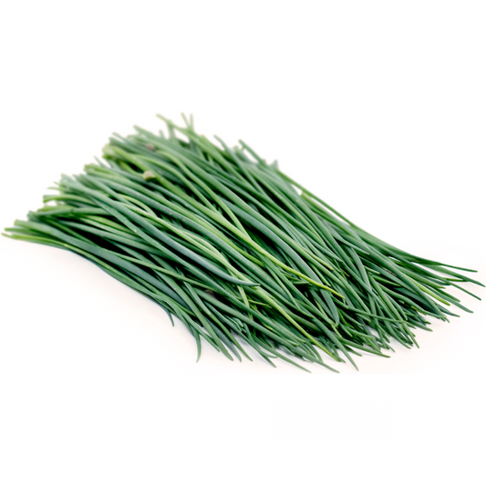 Chives Green (KG)