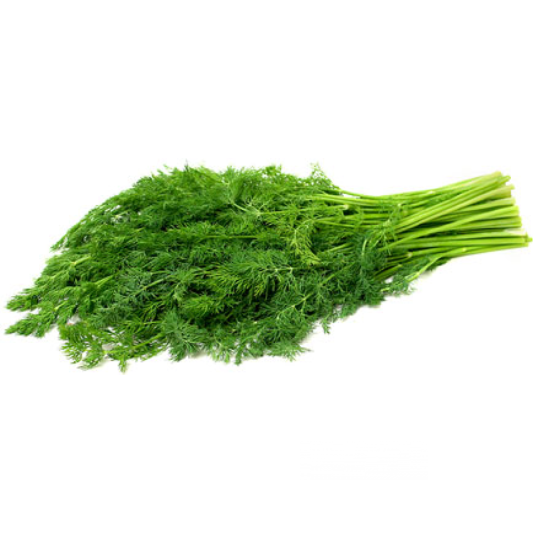 Dill (KG)