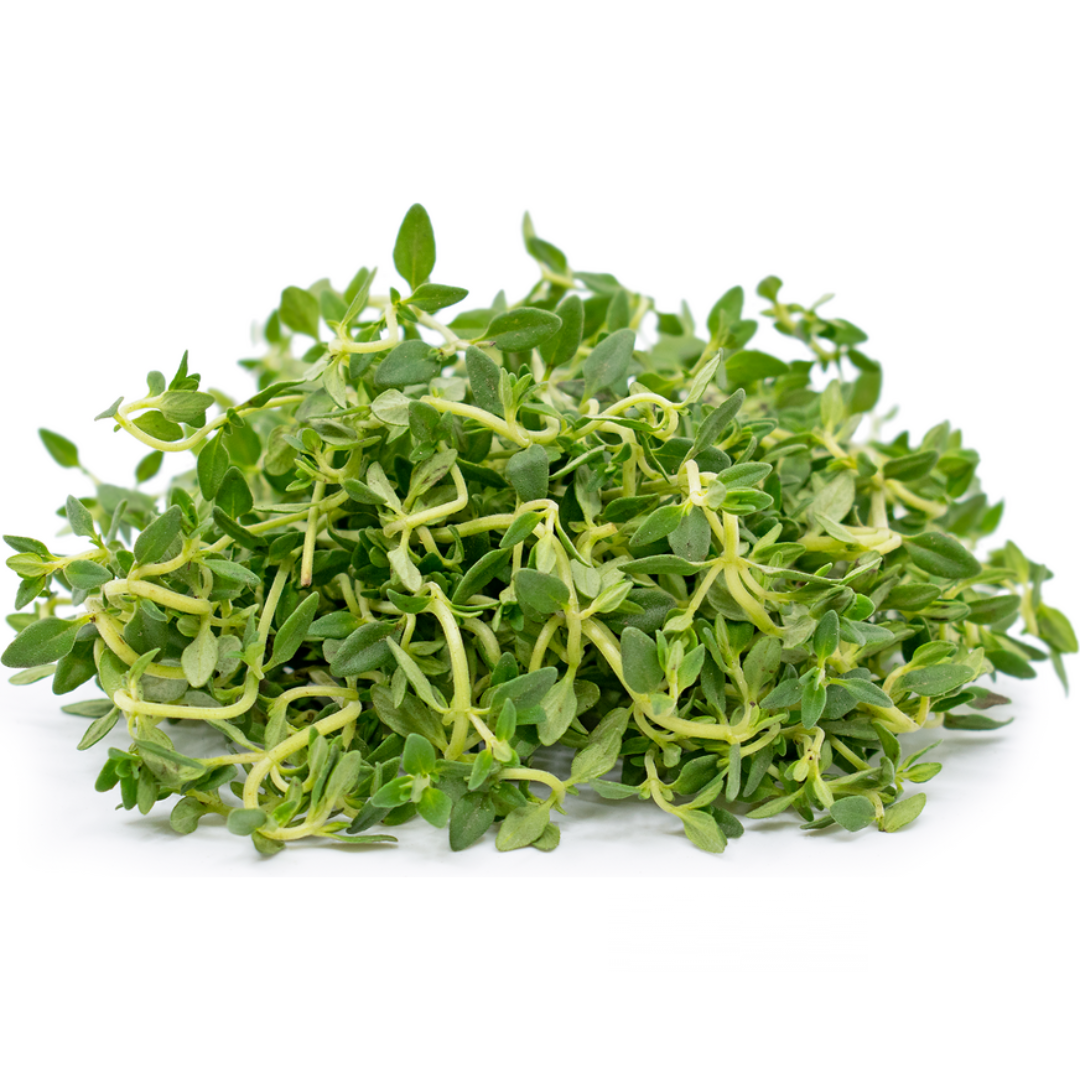 Lemon Thyme (KG)