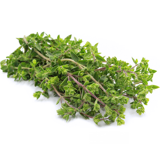 Marjoram (KG)