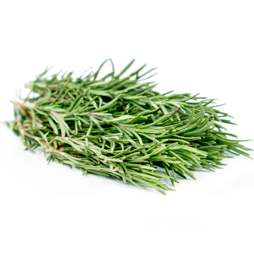 Rosemary (KG)