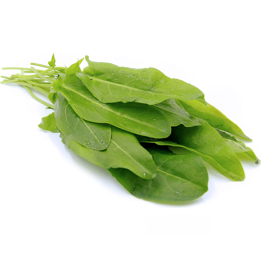 Sorrel Green (KG)