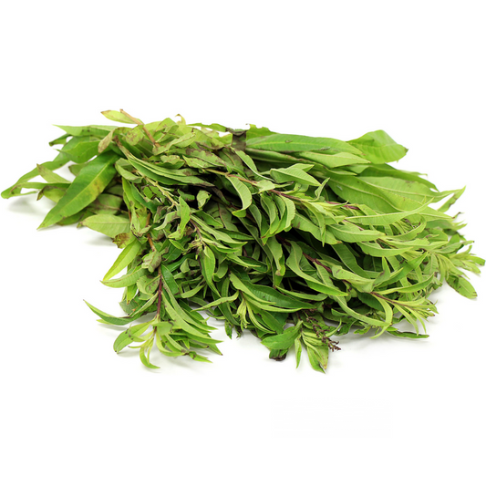 Lemon Verbena (KG)