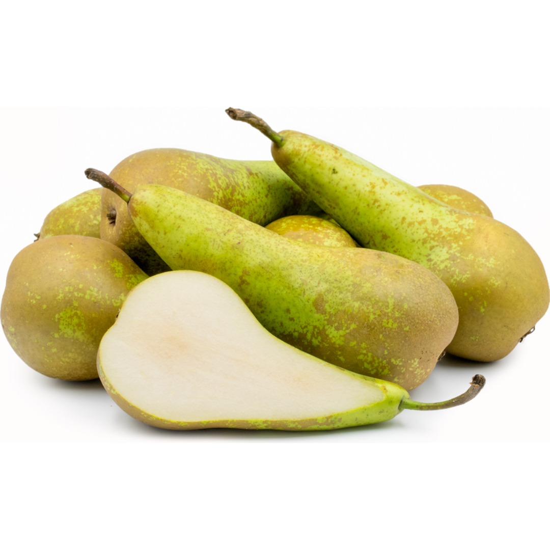 Pears Conference (KG)