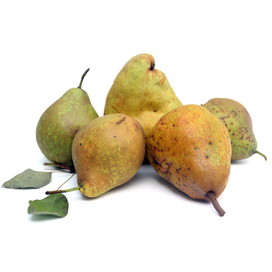 Pears Decana (KG)