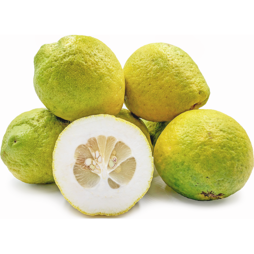 Cedro (KG)