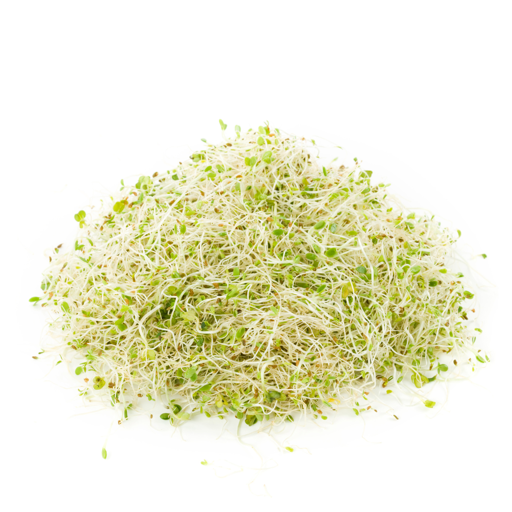 Alfalfa Sprouts (PK)