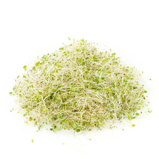 Alfalfa Sprouts (PK)